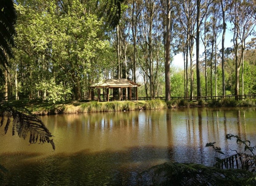 Hackfalls Arboretum, New Zealand